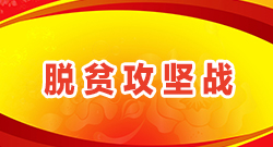 ��ƶ����ս